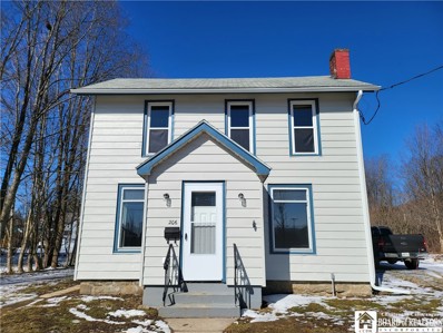 206 6th Street, Little Valley, NY 14755 - #: R1391840