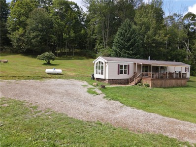 395 O\'Donnell Road, Genesee, PA 16923 - #: R1394496