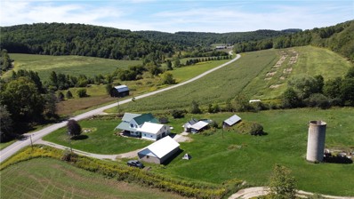2311 County Route 84, Troupsburg, NY 14885 - #: R1431753