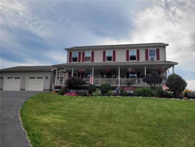 8497 Ball Road, Brutus, NY 13166 - #: R1437967