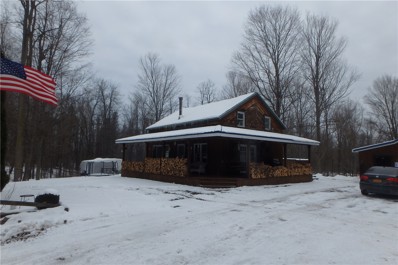 Cosgrove Road Road, Sterling, NY 13156 - #: R1454012