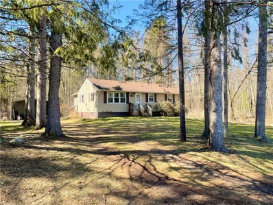 2166 Bonnell Road, Waterloo, NY 13165 - #: R1459936