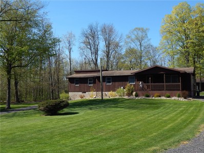 9399 Wayne Center Rose Rd, Lyons, NY 14489 - #: R1467815