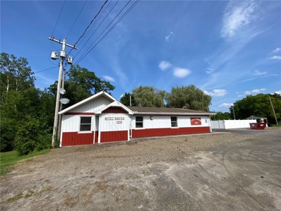 7974 State Route 19, Belfast, NY 14711 - #: R1492126