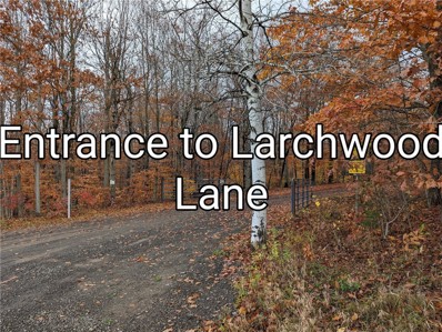 214 Larchwood Ln, Laurens, NY 13796 - #: R1507760