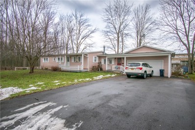 6 Butler St, Seneca Falls, NY 13148 - #: R1517241