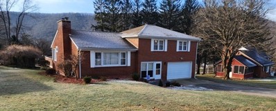 62 Huckleberry Cir, Emporium, PA 15834 - MLS#: R1519405