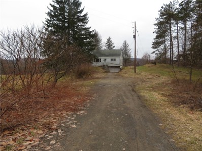 3791 County Highway 18, New Berlin, NY 13411 - #: R1521235