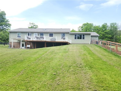 232 Crane Rd, Elmira, NY 14901 - #: R1541067