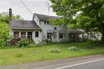 3926 Wayne Center Rd, Lyons, NY 14489 - #: R1545130