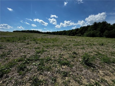 Salt Rd, Locke, NY 13092 - MLS#: R1545490