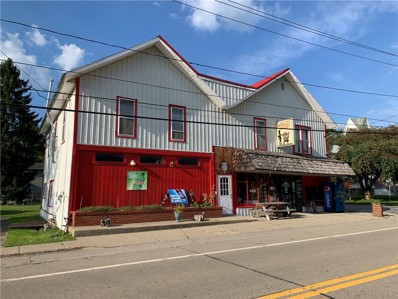 452 Main St, Whitesville, NY 14897 - MLS#: R1563072