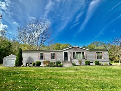 9811 Hard Point Spur, Port Byron, NY 13140 - #: R1569438