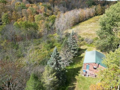 681 Spicer Rd, Whitesville, NY 14897 - #: R1570390