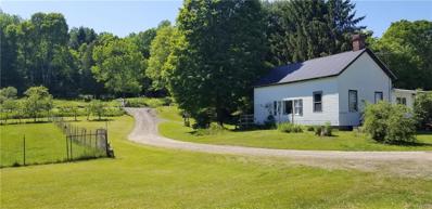 3996 State Highway 205, Hartwick, NY 13348 - #: S1276531