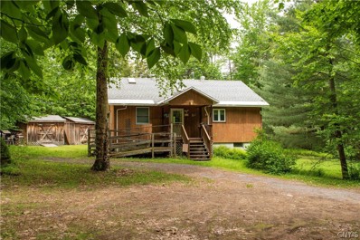 4210 Lakeview Road, Forestport, NY 13338 - #: S1394350