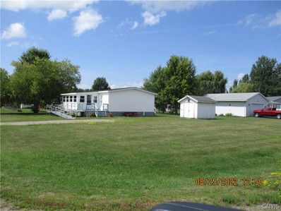 36799 Sprucedale Drive, Orleans, NY 13656 - #: S1430051