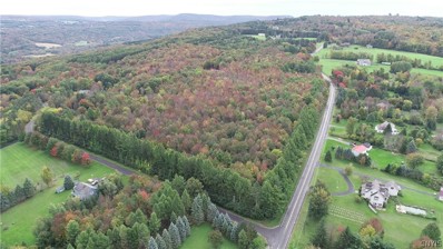 Lot 1 McConnell Road Road, Lafayette, NY 13084 - #: S1437176