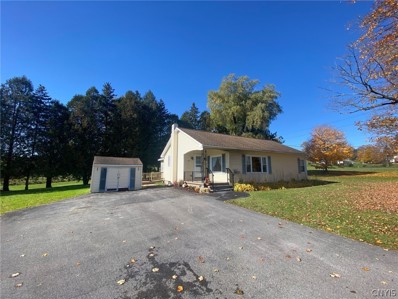 229 Cedarville Road, Litchfield, NY 13357 - #: S1439232