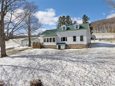 805 Pleasant Valley Rd, Waterville, NY 13480 - #: S1525954
