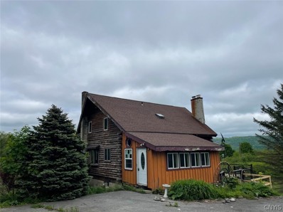 1362 Woodmancy Rd, Tully, NY 13159 - #: S1539233