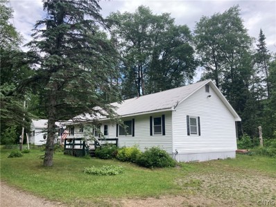 425 State Route 8, Piseco, NY 12139 - #: S1545774