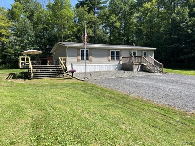 161 Stits Hill Rd, Pine Valley, NY 14872 - #: S1550870