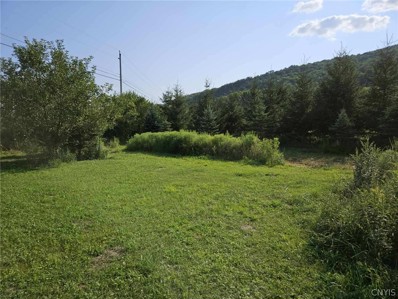 3723 Five Mile Rd, Allegany, NY 14706 - #: S1554195