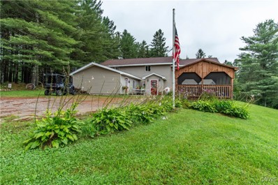 205 Youngs Rd, Star Lake, NY 13690 - #: S1556656