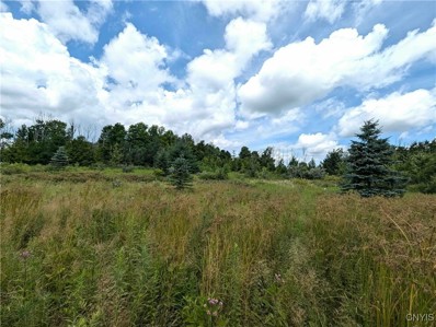 Shauger Road Ext, Cameron Mills, NY 14820 - #: S1557343