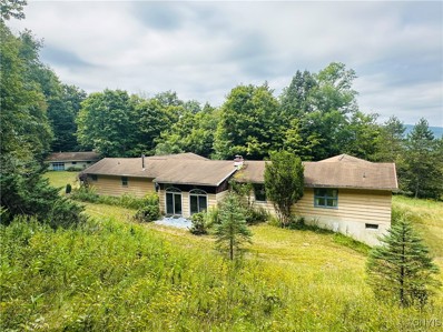 1550 Us Route 11, Tully, NY 13159 - #: S1562518