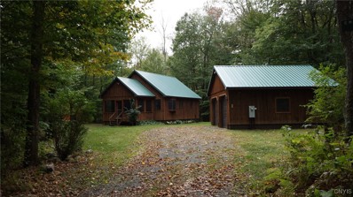 91 Mccaw Rd, Redfield, NY 13437 - #: S1567606