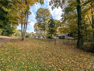 5993 County Route 14, Bath, NY 14810 - #: S1569757