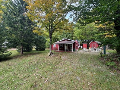 68 Evergreen Dr, Piseco, NY 12139 - #: S1571088