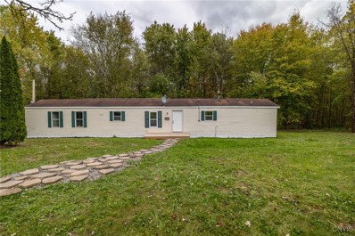 9666 Stickles Ln, Port Byron, NY 13140 - #: S1572831