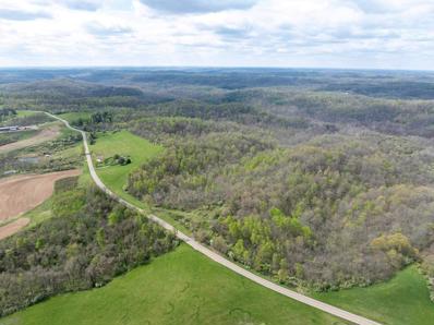 0 S State Route 555 38.316+- Acres, Chesterhill, OH 43728 - #: 224012558