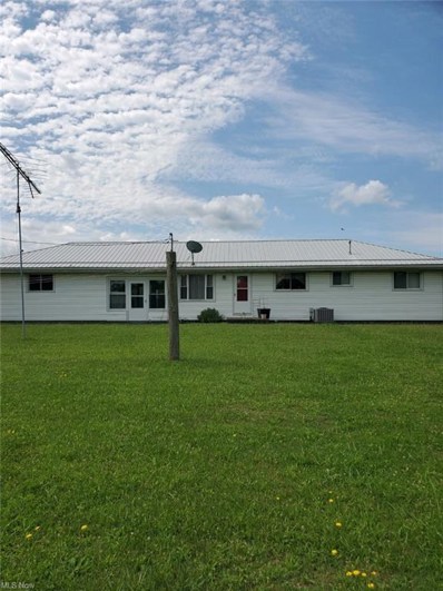6647 County Road 55, Salineville, OH 43945 - #: 4302838