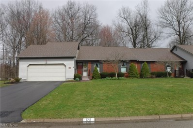 131 Turquoise Drive, Cortland, OH 44410 - #: 4360083
