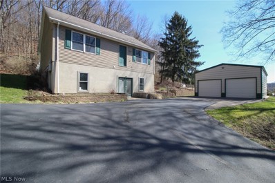 7510 State Rd 170, Negley, OH 44441 - #: 4360768