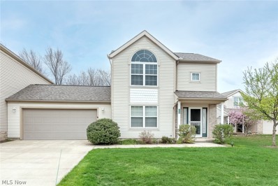 8705 Basswood Place, Macedonia, OH 44056 - #: 4365691