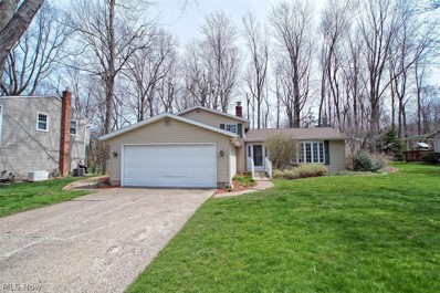 8379 Paddock Court, Mentor, OH 44060 - #: 4365997