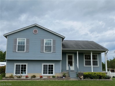 5296 Eberly Road, Atwater, OH 44201 - #: 4409159