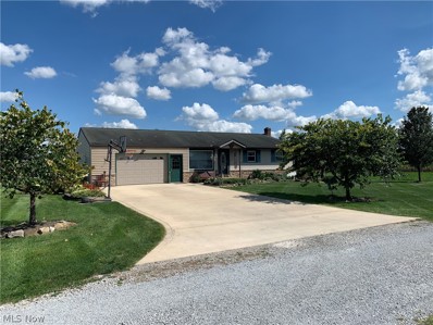 8196 County Road 189, Holmesville, OH 44633 - #: 4412219