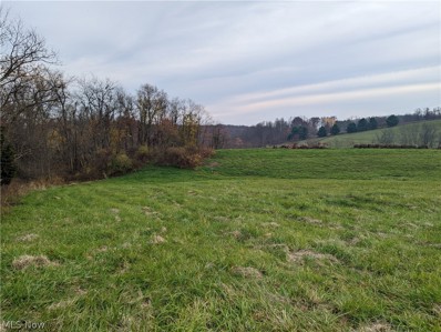 Township Road 164, Salineville, OH 43945 - #: 4420030