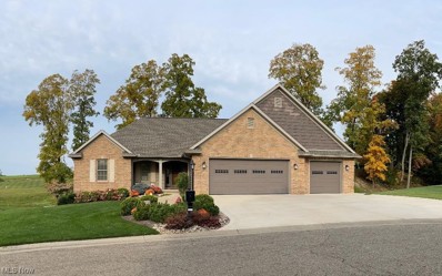 5175 Robin Court, Millersburg, OH 44654 - #: 4438816