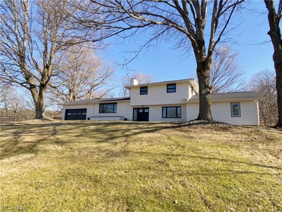 5110 Millersburg Road, Wooster, OH 44691 - #: 4439160