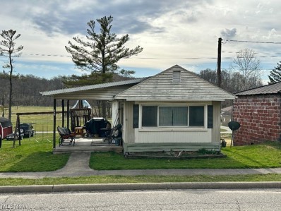 227 Main Street, Belle Valley, OH 43717 - #: 4442270