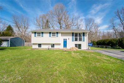 4510 Mahoning Drive, Newton Falls, OH 44444 - MLS#: 4449897