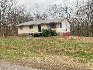 32563 Lewis Road, Salineville, OH 43945 - MLS#: 4451744