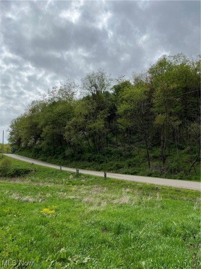 Angel Valley Road, Stone Creek, OH 43840 - #: 4457782